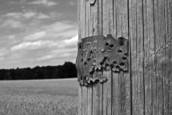 Untitled_2