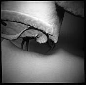 Composition