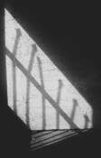 Cellbar_shadows