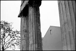 Tree_and_temple_and_building