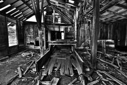 Arrested_decay