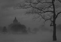 Foggy_morning