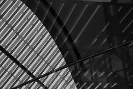 Reflections_at_the_meyerson_3