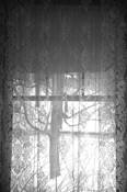 Lace_curtain