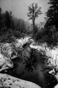 Untitled_9