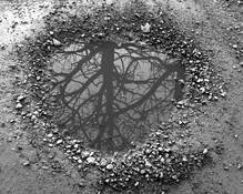 Reflecting_puddle