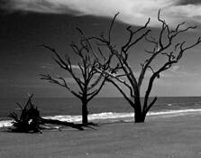 Stranded