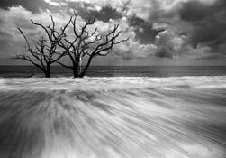 Heading_out_to_sea