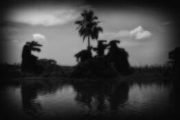 Image_7