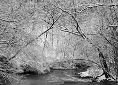 Doan_brook_beyond_the_falls