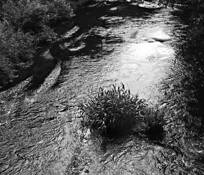 Creek_1