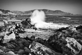 Cypress_cove_wave_2