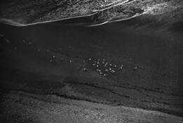 Untitled_7