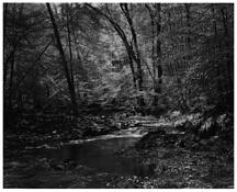 Spring_1
