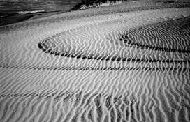 Outerbanks_1