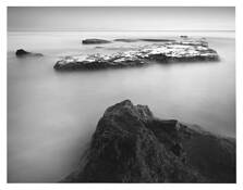 Creation_study__1