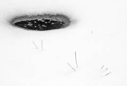 Pine_needles___ice_window_to_river_beneath