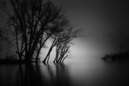 New_dawn