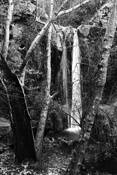 Newton_falls