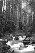 Limekiln