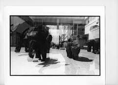 Fonseca_s_elephants
