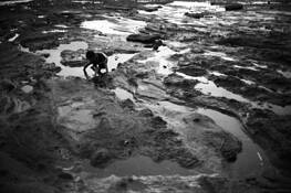 Searching_for_fish