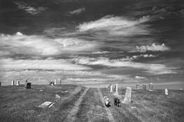 Pet_cemetery