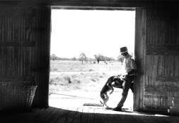 Old_faithful