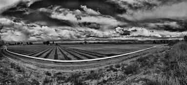 Farm