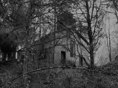 Secluded_relic