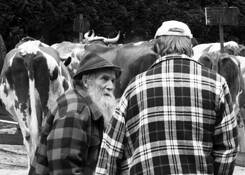 Market_day