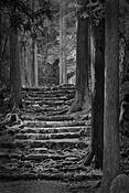 Temple_path