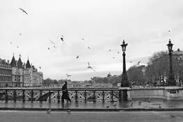 Above_the_seine