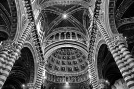 Toward_the_light