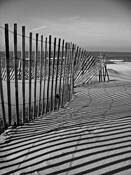 Beach__1