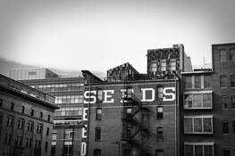 Seeds_building_two