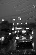 The_drive_home
