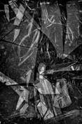 Weeds_and_broken_glass