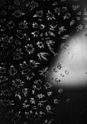 Glass_works