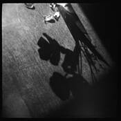 A_shadow_of_their_former_selves