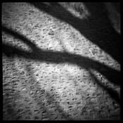 Black_fire
