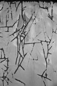 Glyph