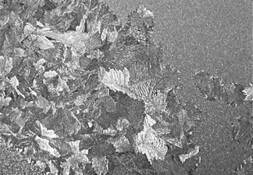 Frost_pattern