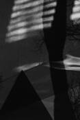 Reflections_at_the_meyerson_2