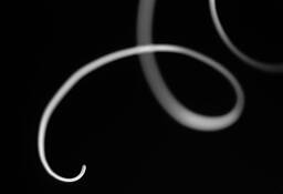 Tendril_curl