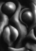 Rounded_forms