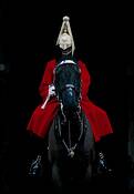 Horse_guard