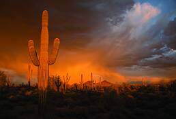Sunset_scottsdale