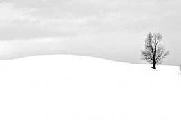 Alone