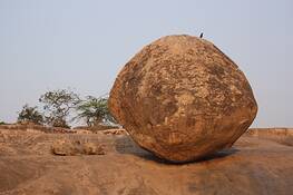 Krishnas_butterball